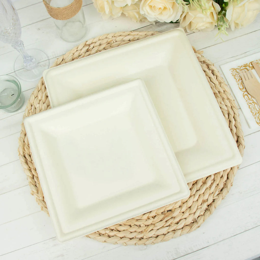 Platos Grandes Eco Picnic - Paquete de 10