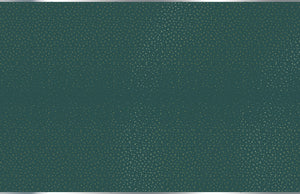 Mantel Verde Little Star / Paquete de 1